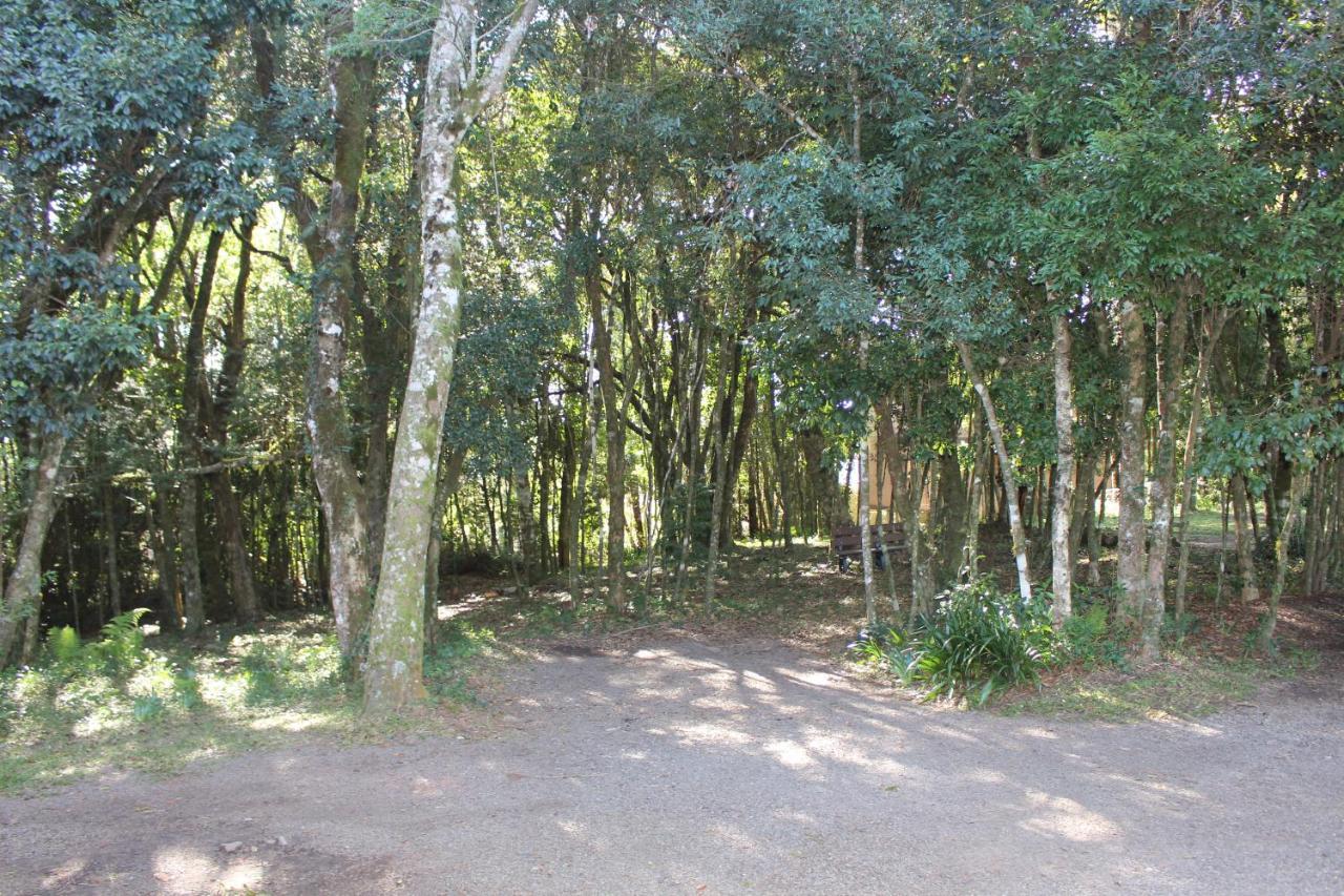 Pousada Floresta Negra Canela Eksteriør billede