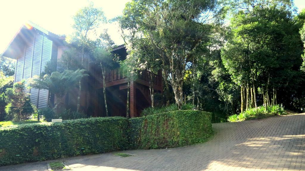 Pousada Floresta Negra Canela Eksteriør billede