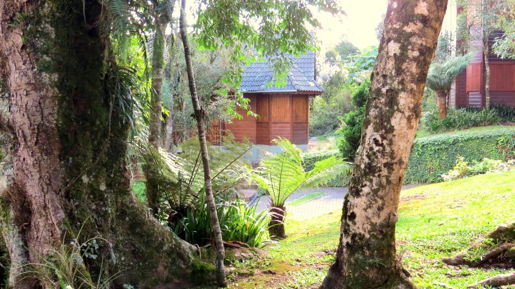 Pousada Floresta Negra Canela Eksteriør billede